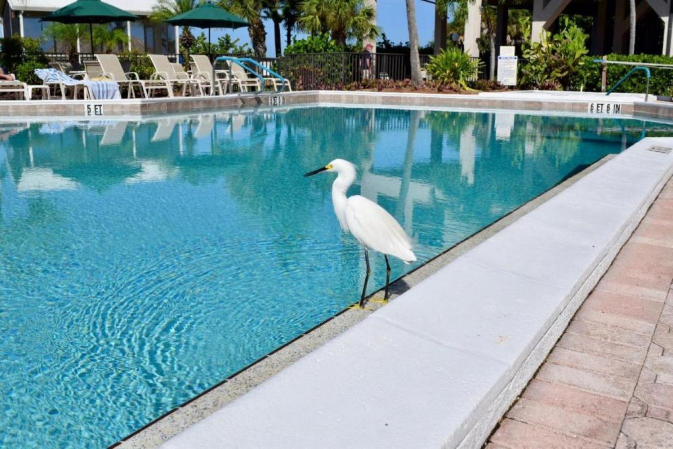 Caribbean Beach Club Fort Myers Beach Dış mekan fotoğraf